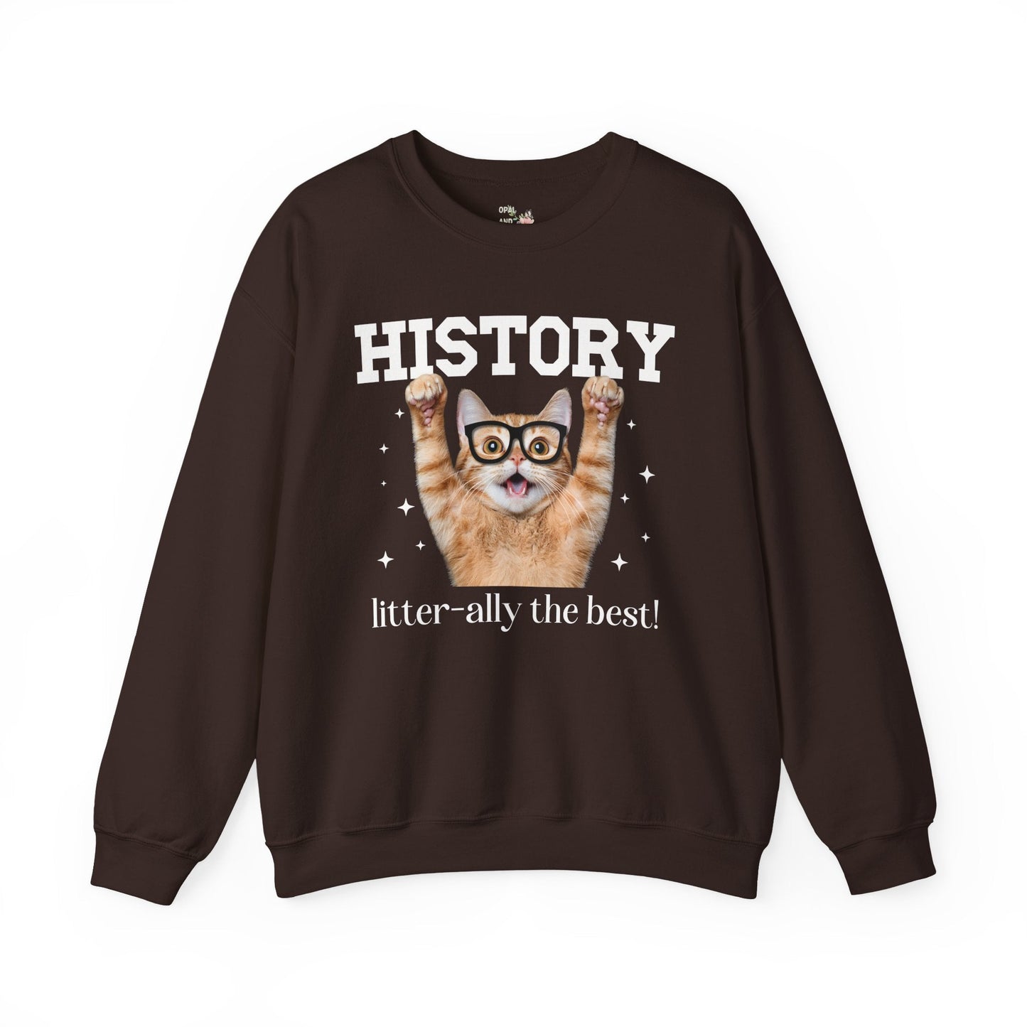 History Teacher Cat Lover