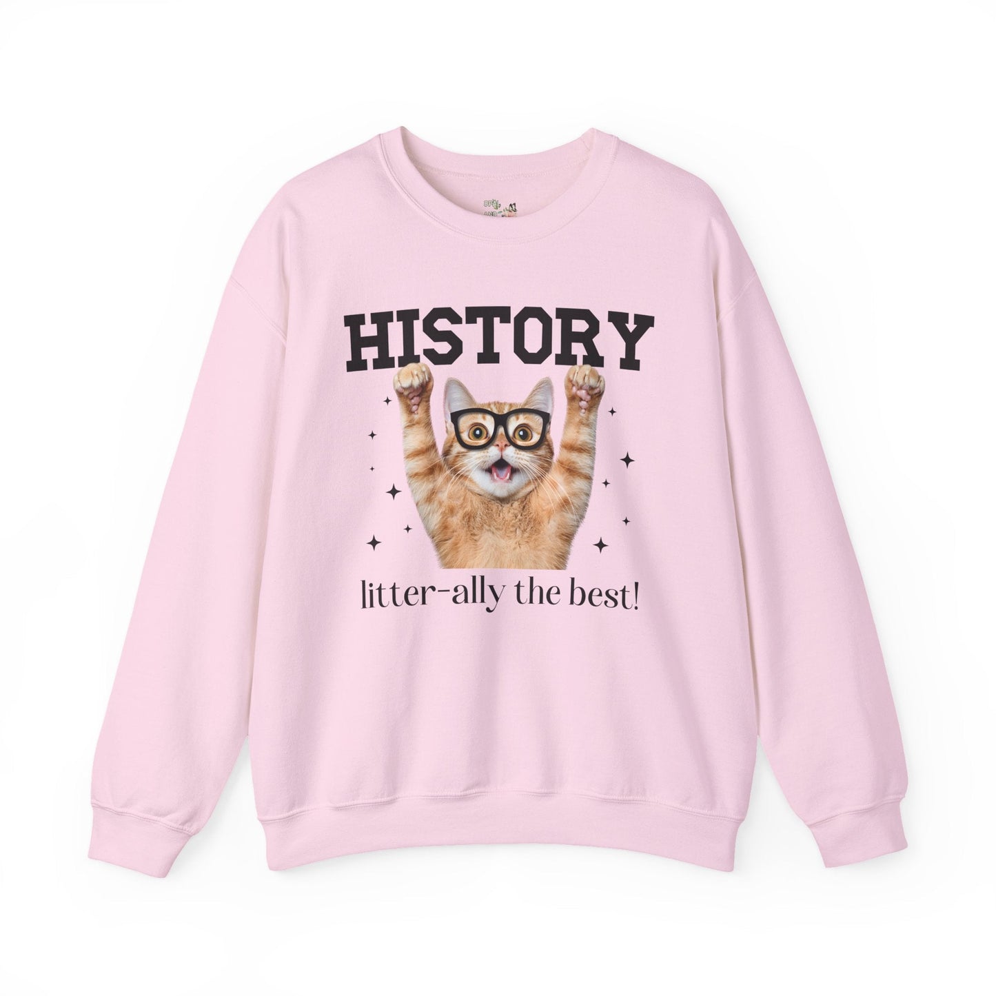 History Teacher Cat Lover