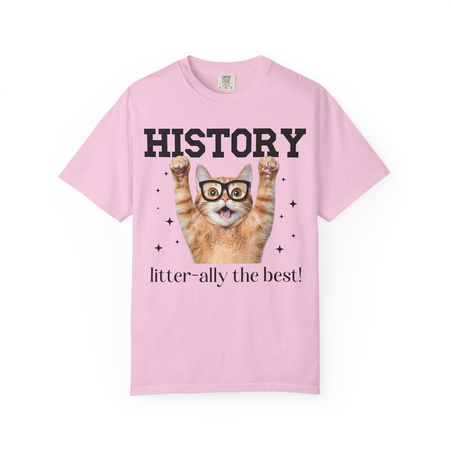 History Teacher Cat Lover Tee