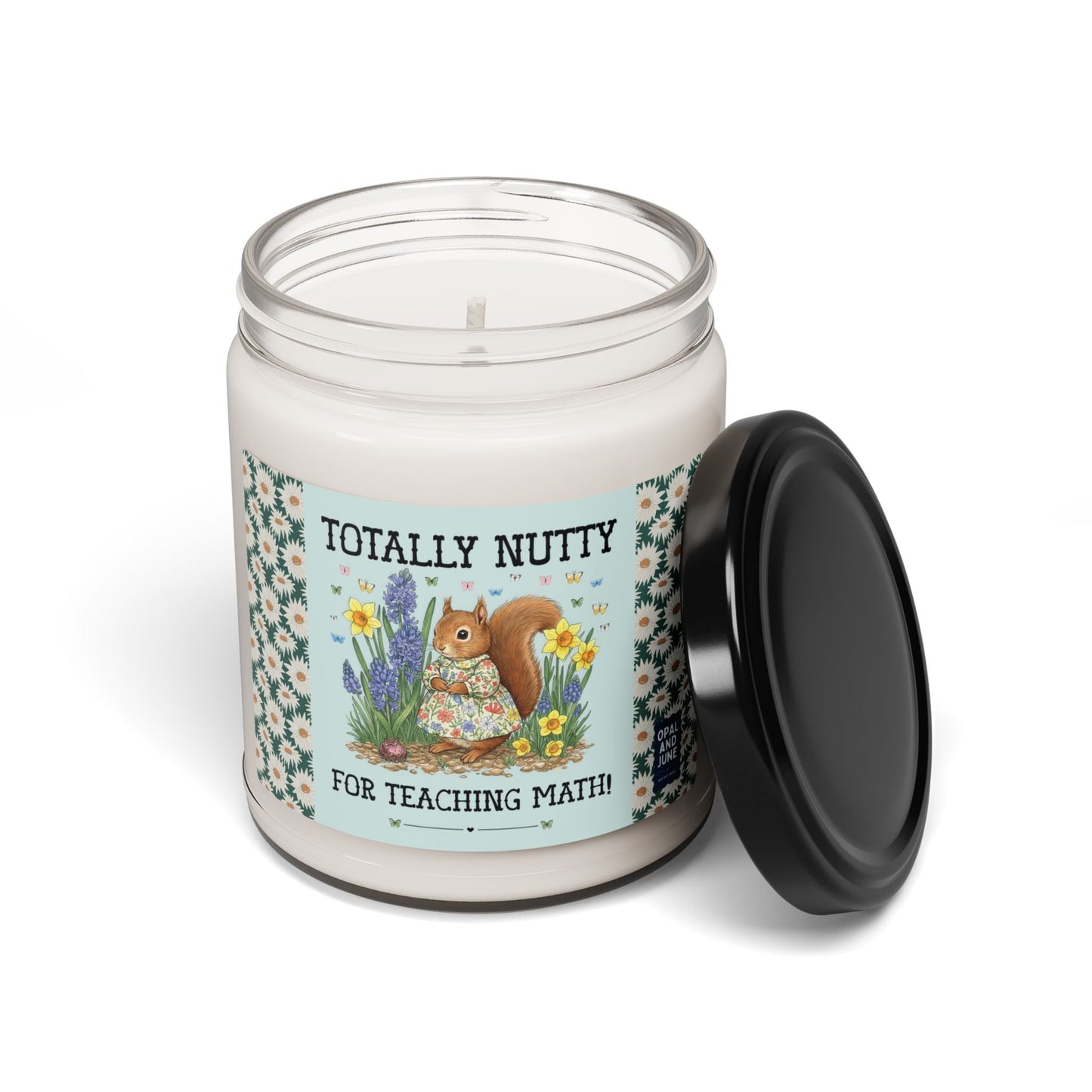 Totally Nutty for Teaching Math!