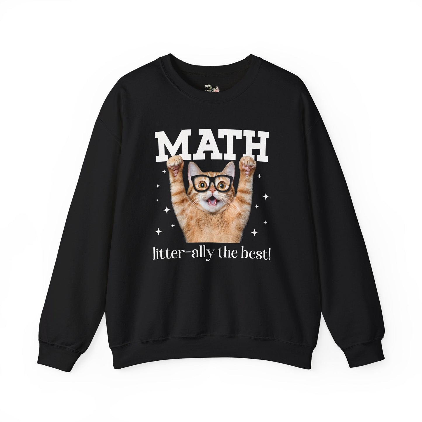Math Teacher Sweatshirt