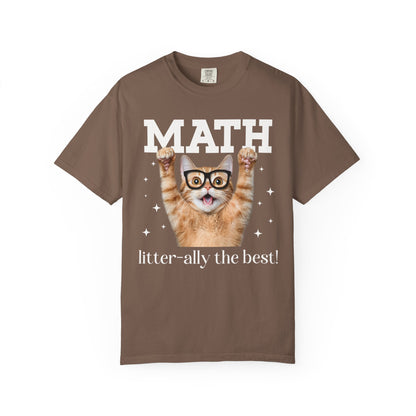 Math Teacher Cat Shirt