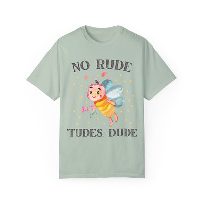 No Rude Tudes Dude: T-Shirt