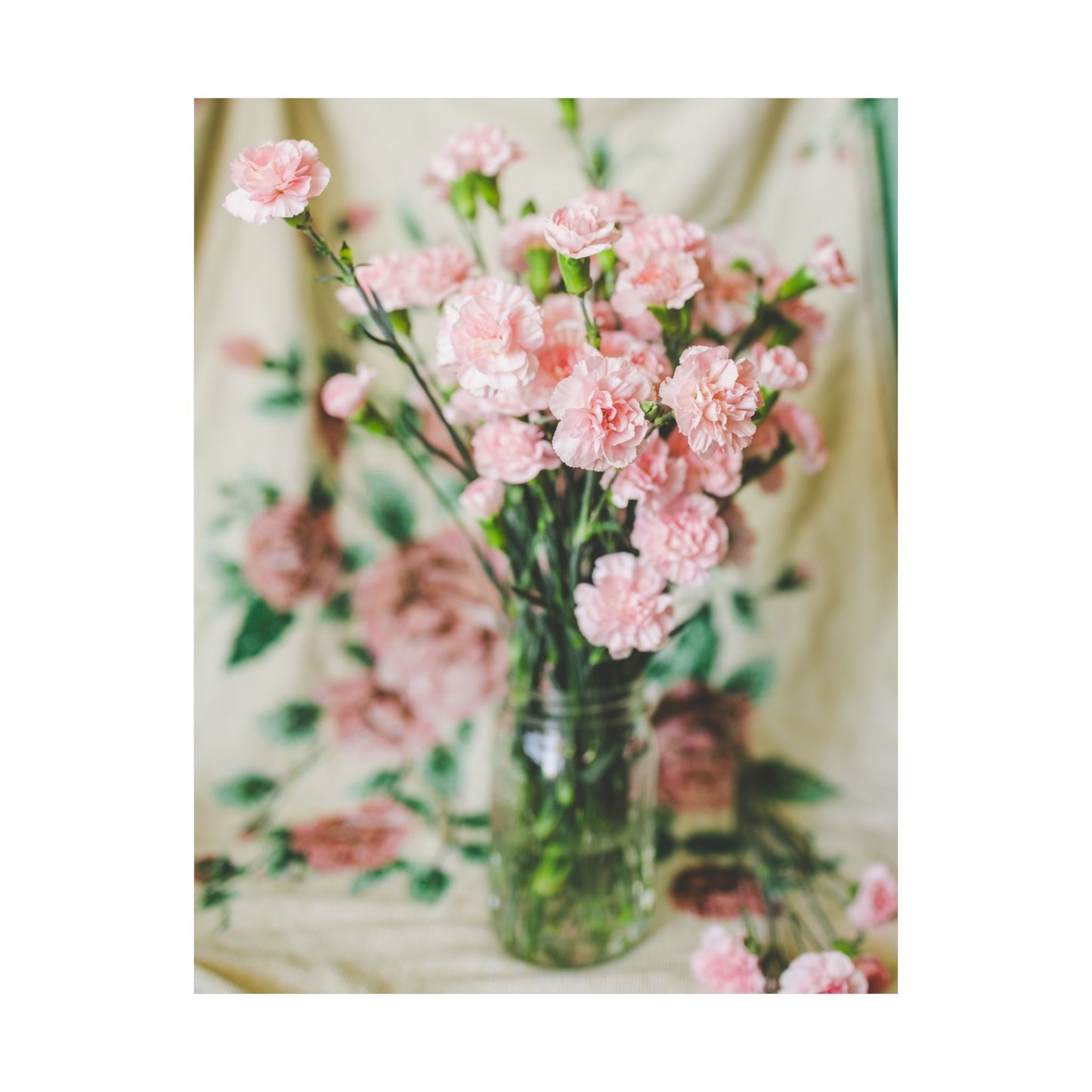 Pink Carnation Flower Poster