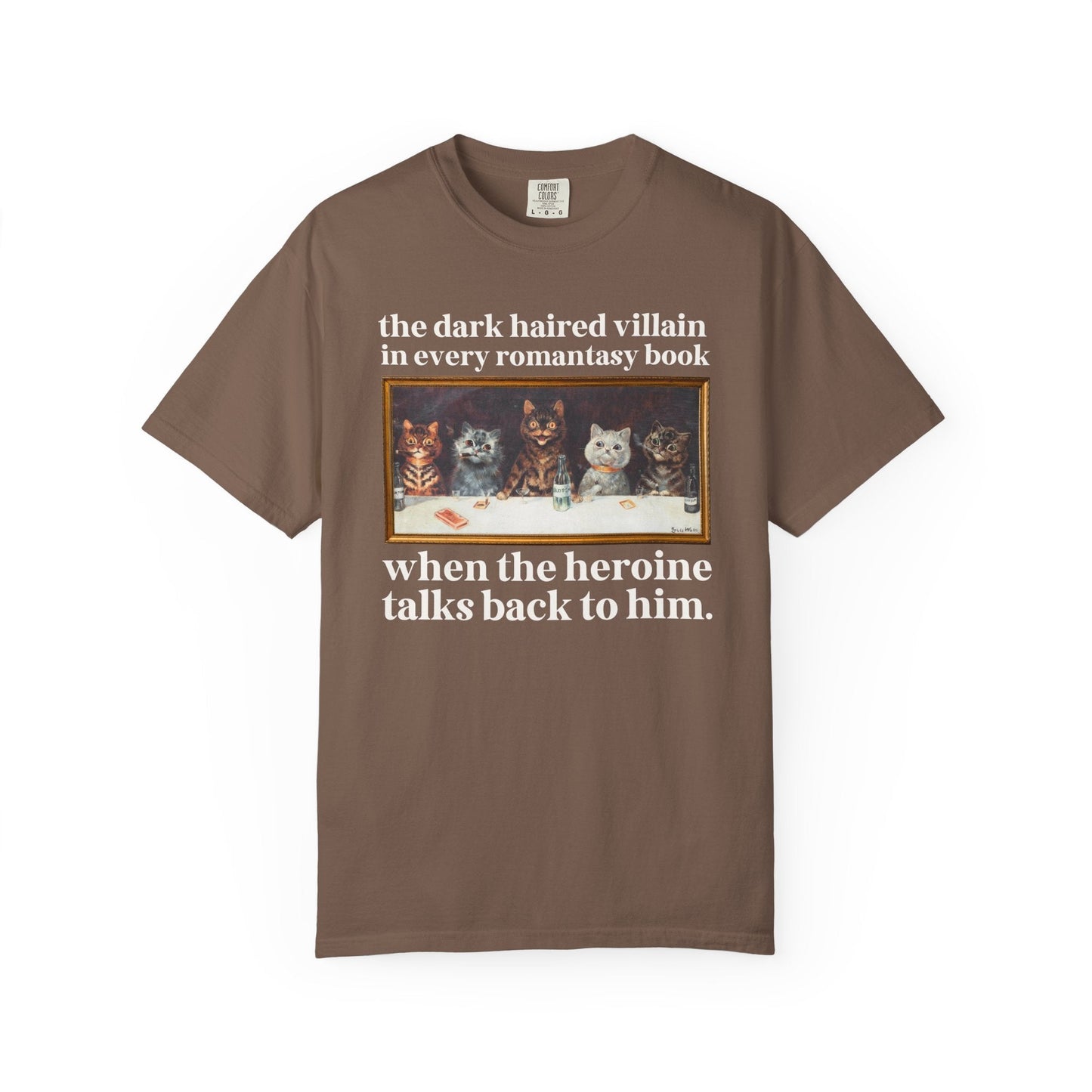 Romantasy Villain Lover Tee Shirt
