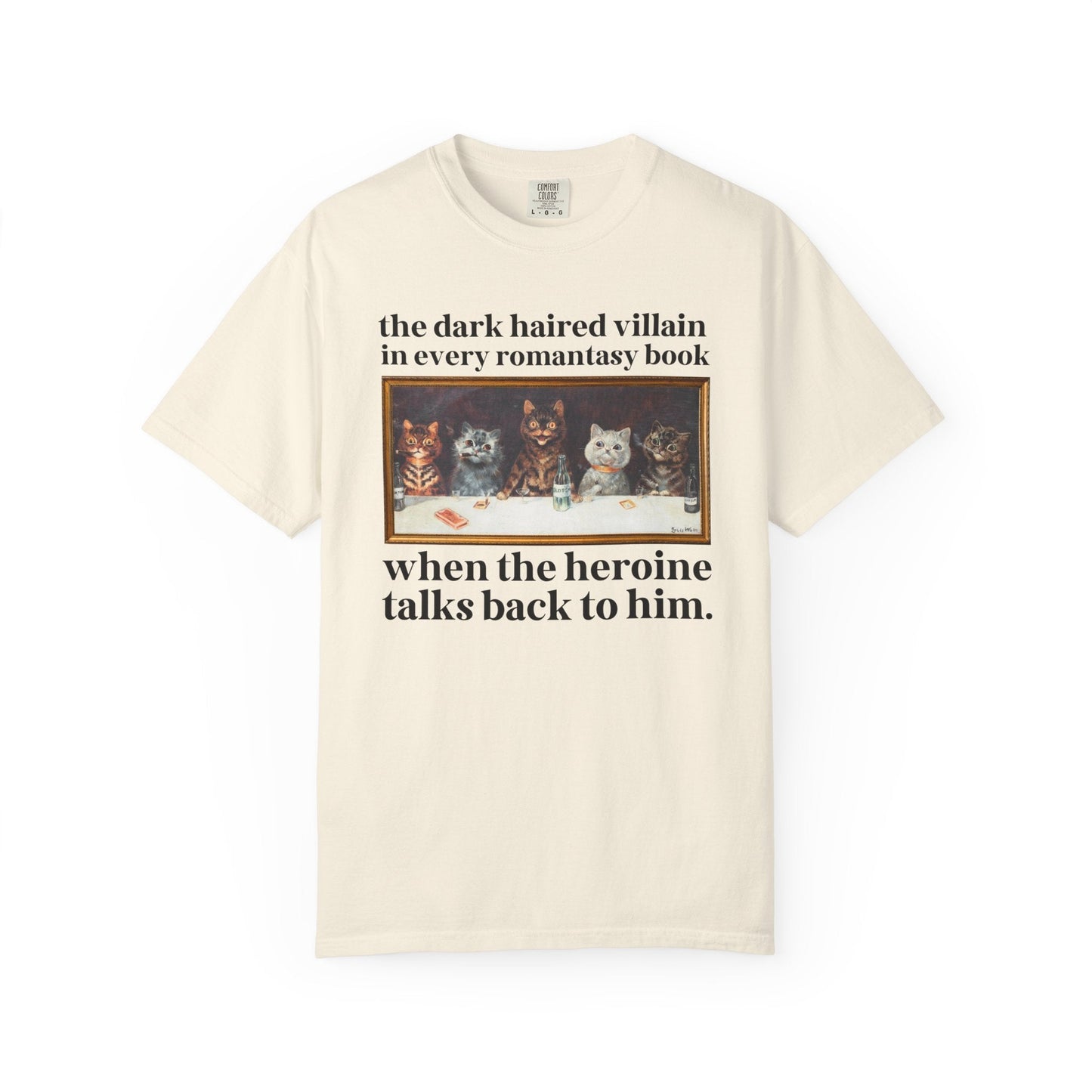 Romantasy Villain Lover Tee Shirt