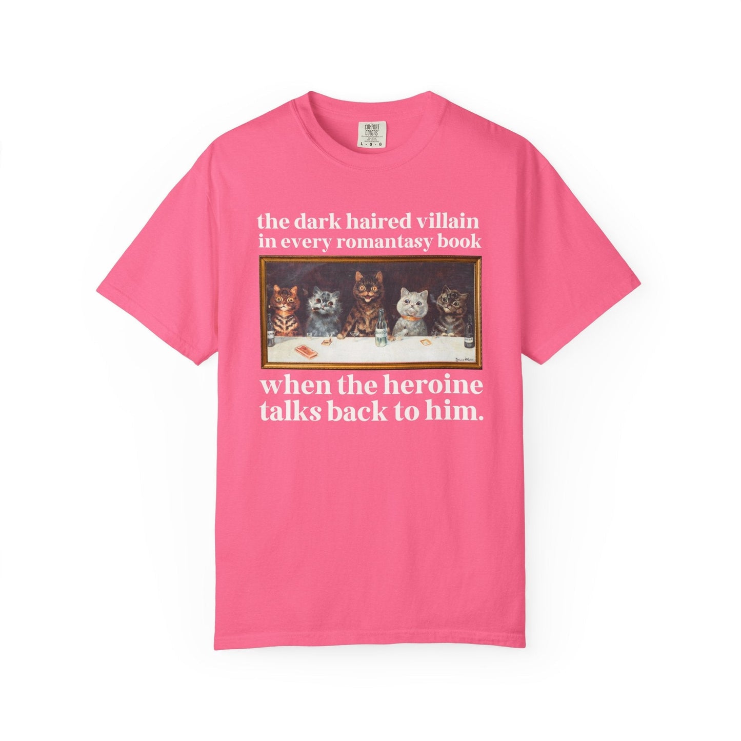 Romantasy Villain Lover Tee Shirt