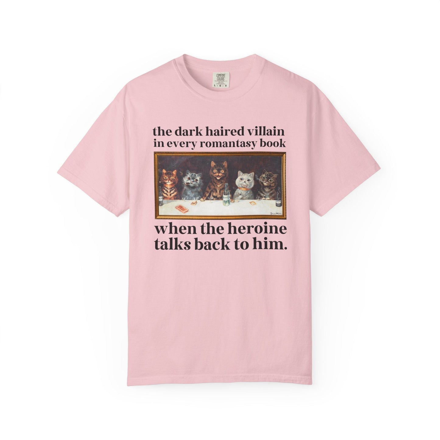 Romantasy Villain Lover Tee Shirt