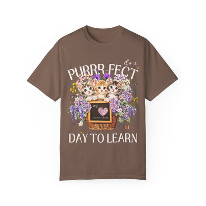 Second Grade Teacher Tee Shirt for Cat Moms