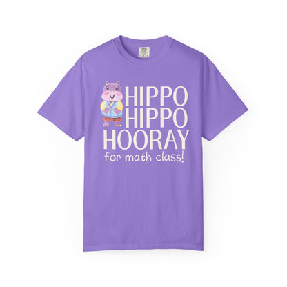 Silly Math Teacher Tee