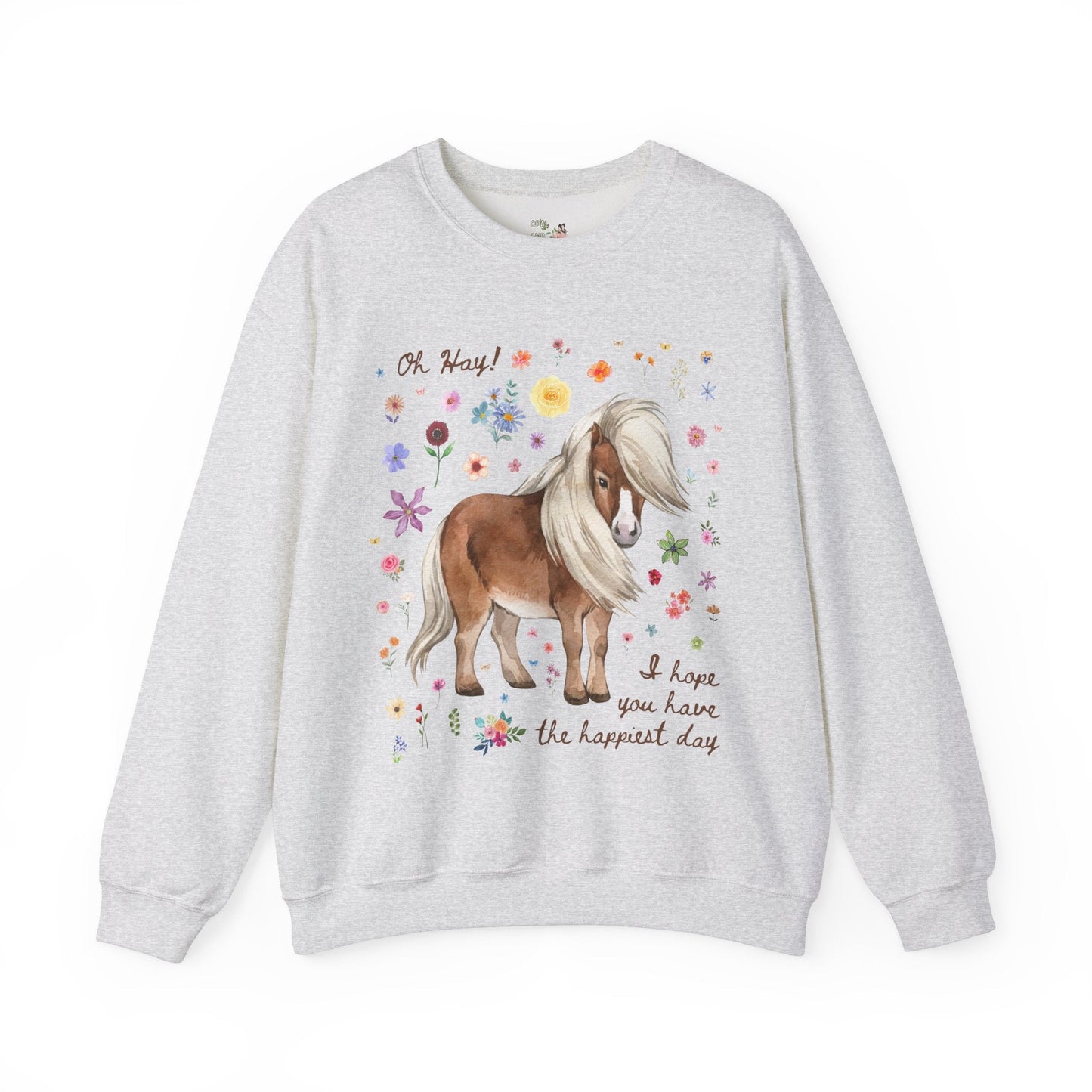 Silly Mini Horse Sweatshirt