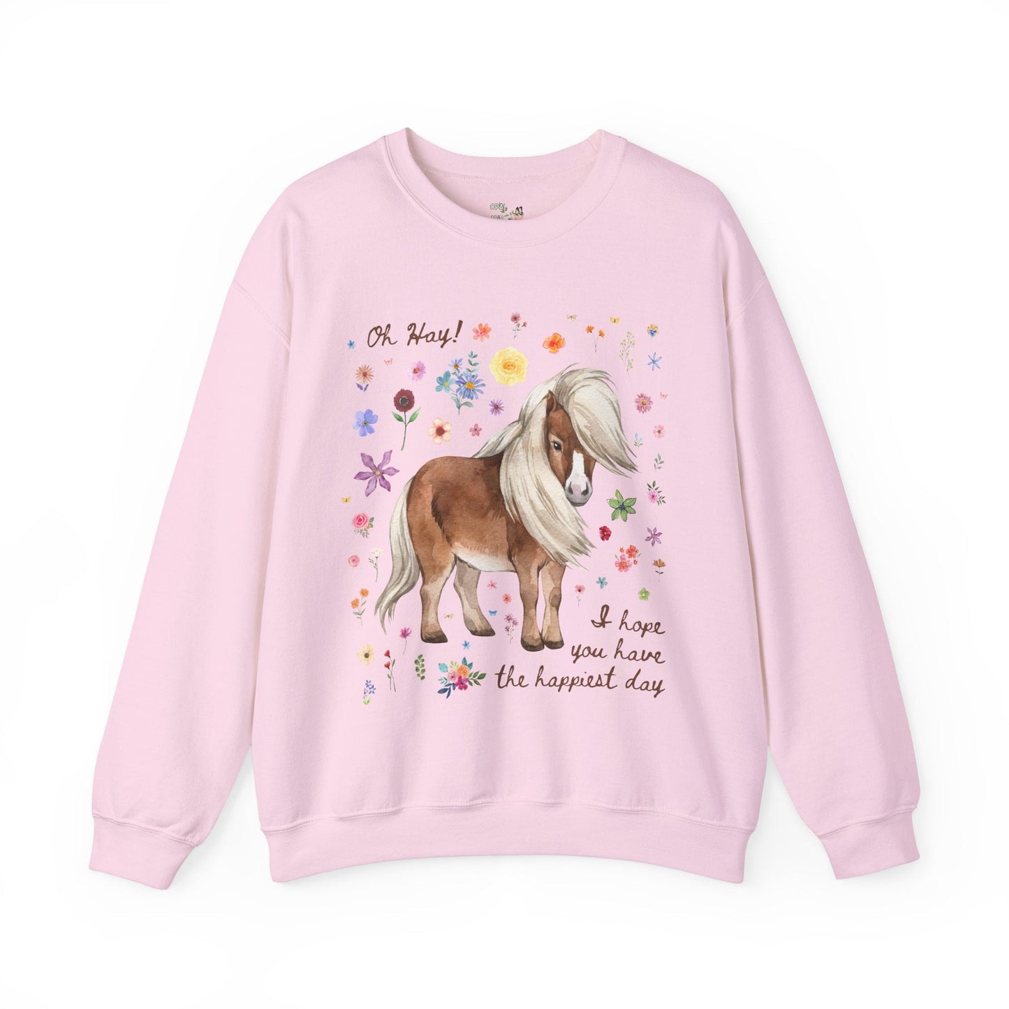 Silly Mini Horse Sweatshirt