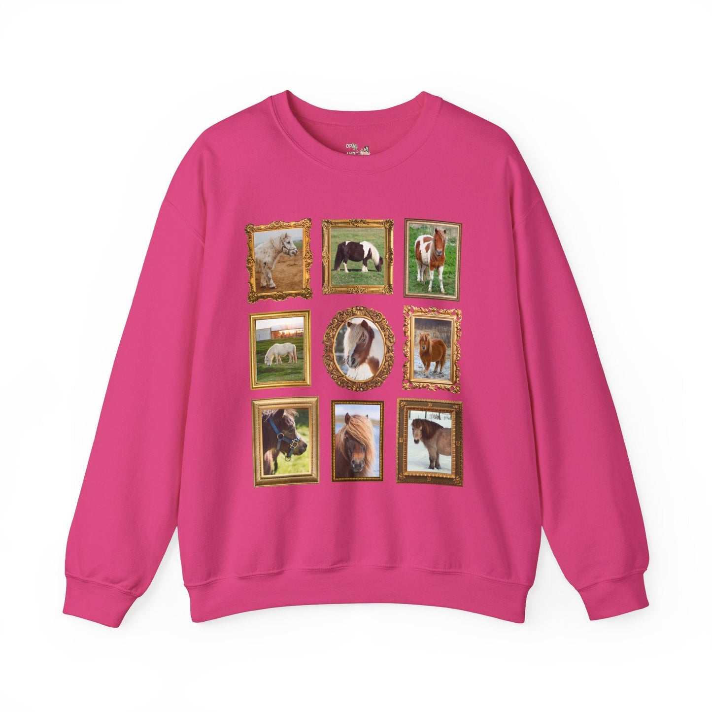 Silly Miniature Horse Lover Sweatshirt