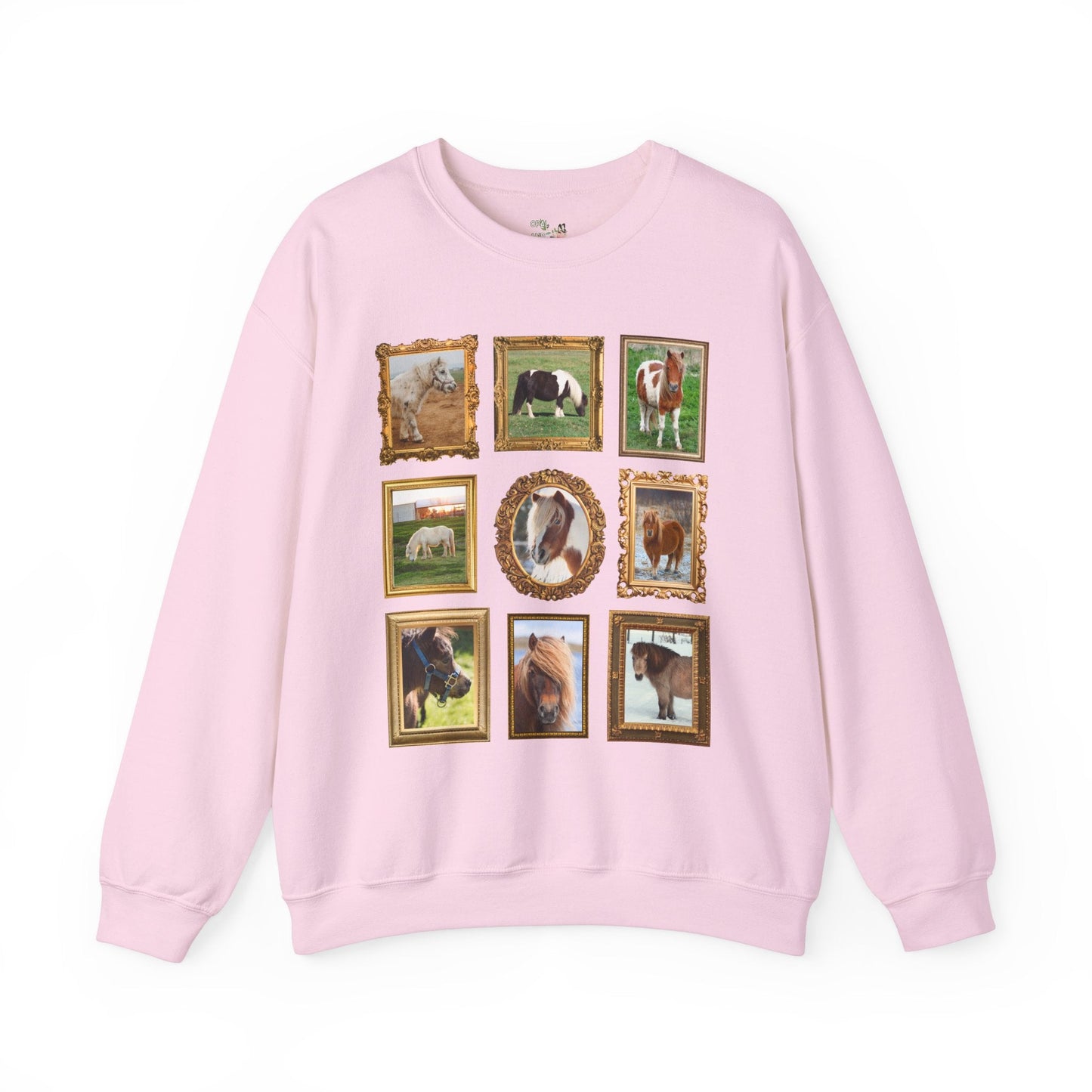 Silly Miniature Horse Lover Sweatshirt
