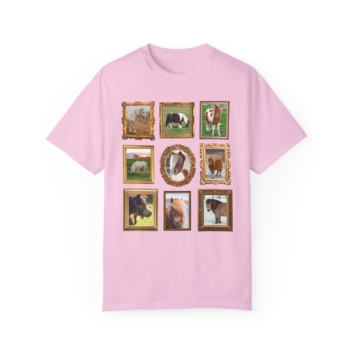 Silly Miniature Horse Lover Tee Shirt