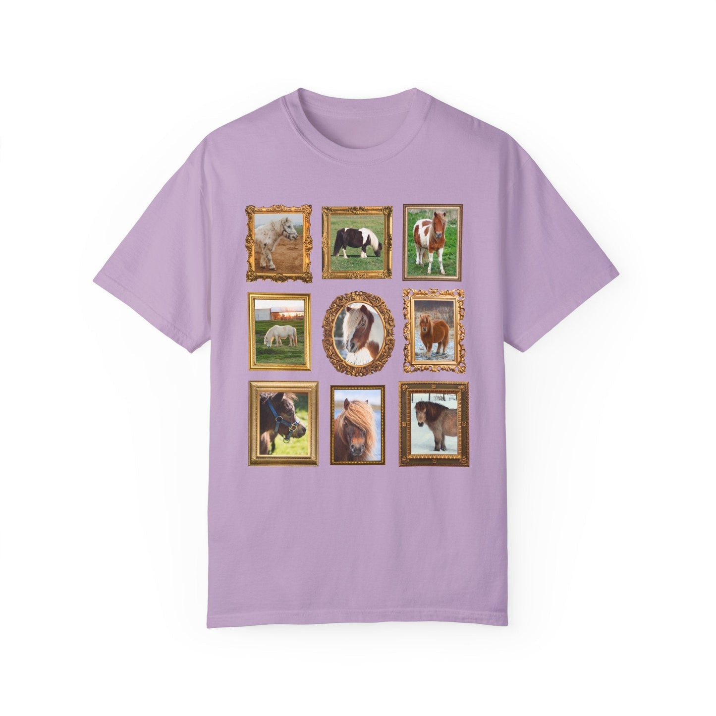 Silly Miniature Horse Lover Tee Shirt