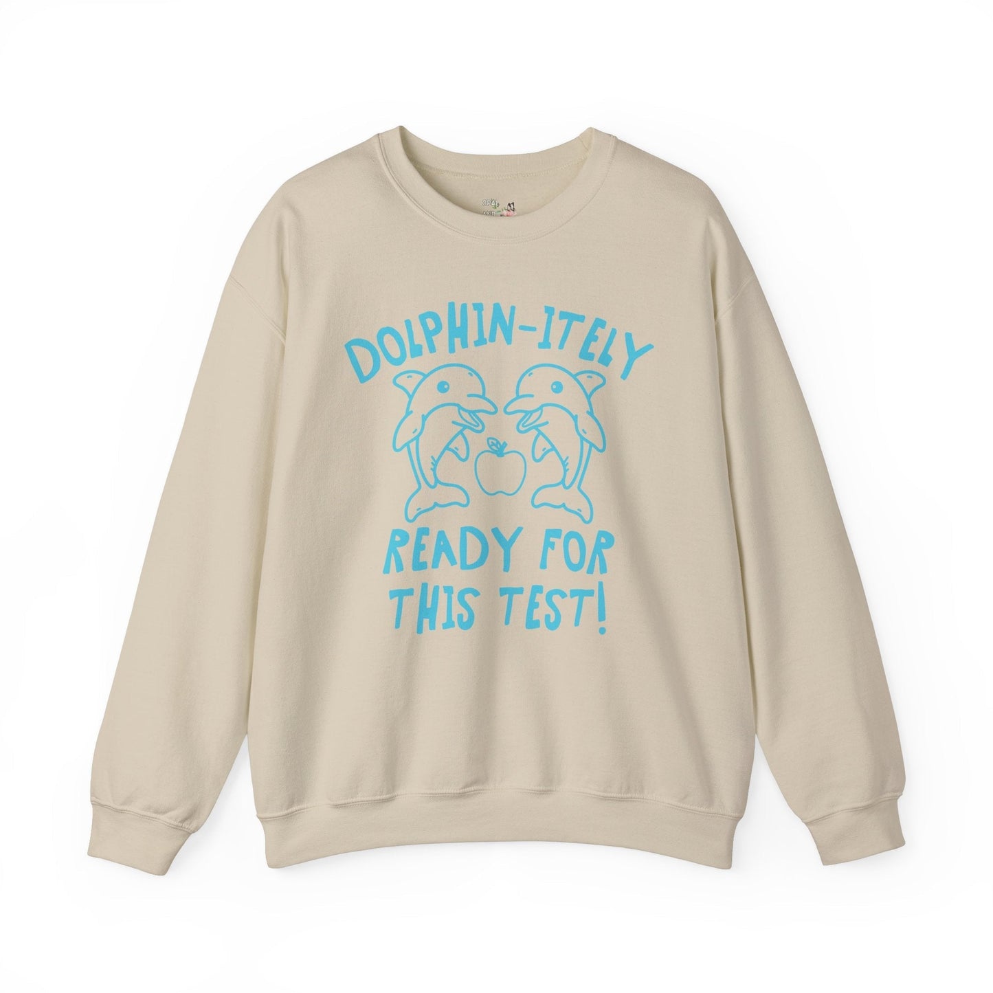 Silly Testing Day Dolphin Shirt