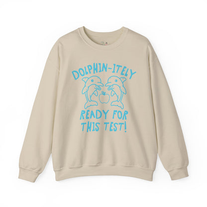 Silly Testing Day Dolphin Shirt