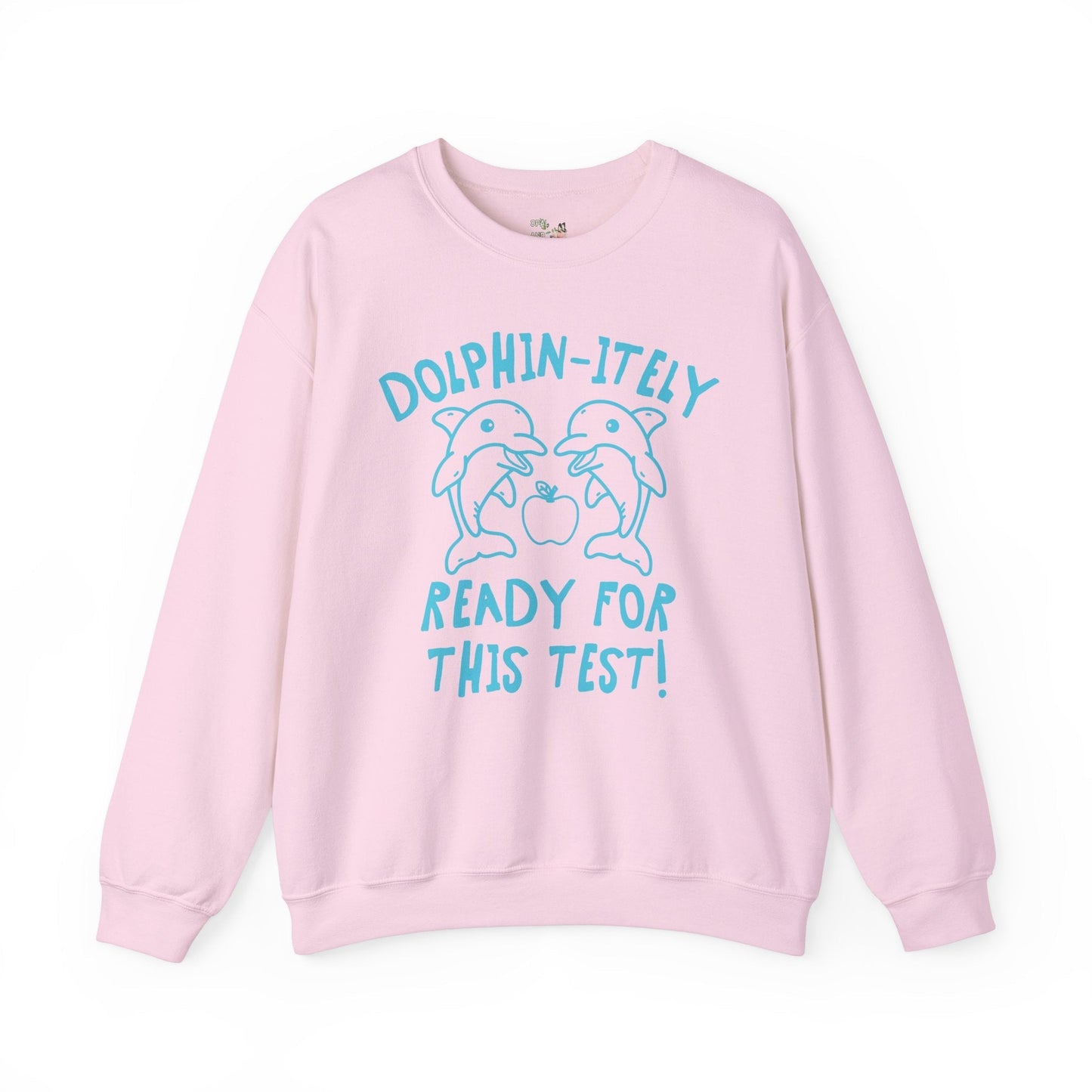 Silly Testing Day Dolphin Shirt