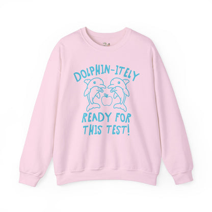 Silly Testing Day Dolphin Shirt