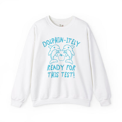 Silly Testing Day Dolphin Shirt
