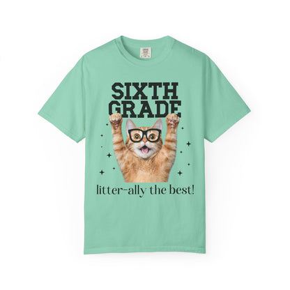 Sixth Grade Teacher Cat Tee
