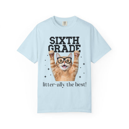 Sixth Grade Teacher Cat Tee
