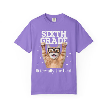 Sixth Grade Teacher Cat Tee