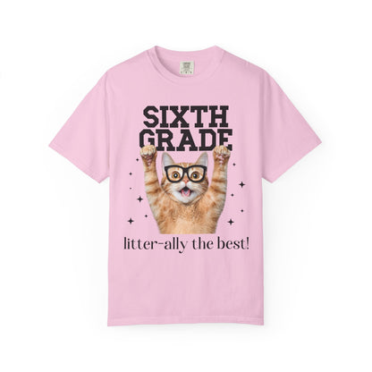Sixth Grade Teacher Cat Tee