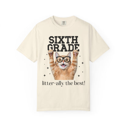 Sixth Grade Teacher Cat Tee
