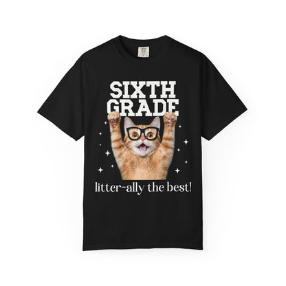 Sixth Grade Teacher Cat Tee