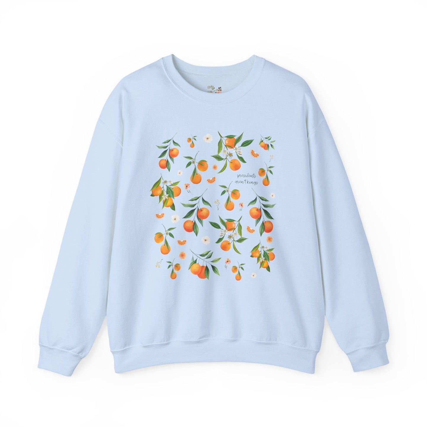 Subtle Democrat Sweatshirt: Presidents Aren't Kings
