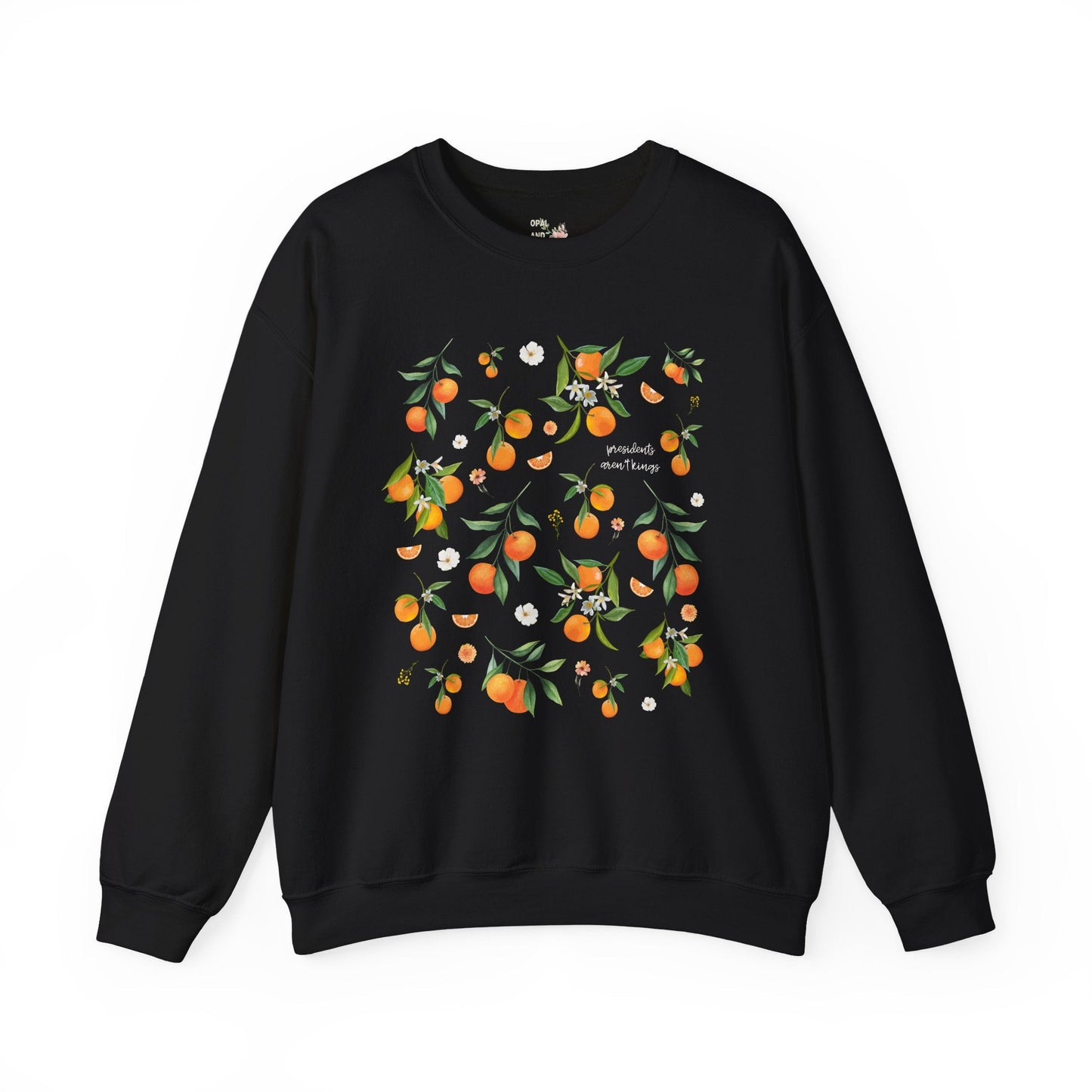Subtle Democrat Sweatshirt: Presidents Aren't Kings