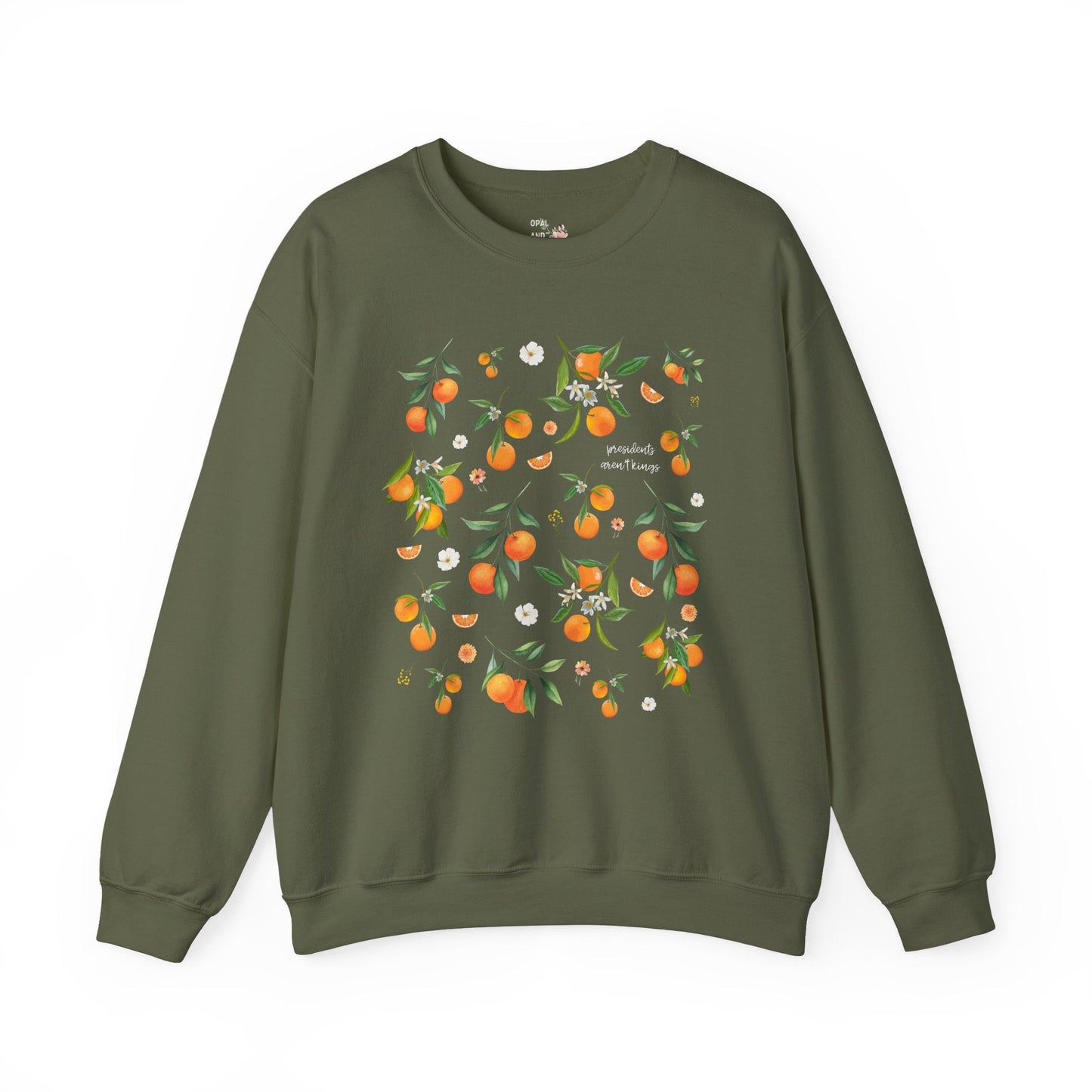Subtle Democrat Sweatshirt: Presidents Aren't Kings