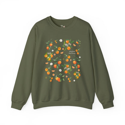 Subtle Democrat Sweatshirt: Presidents Aren't Kings