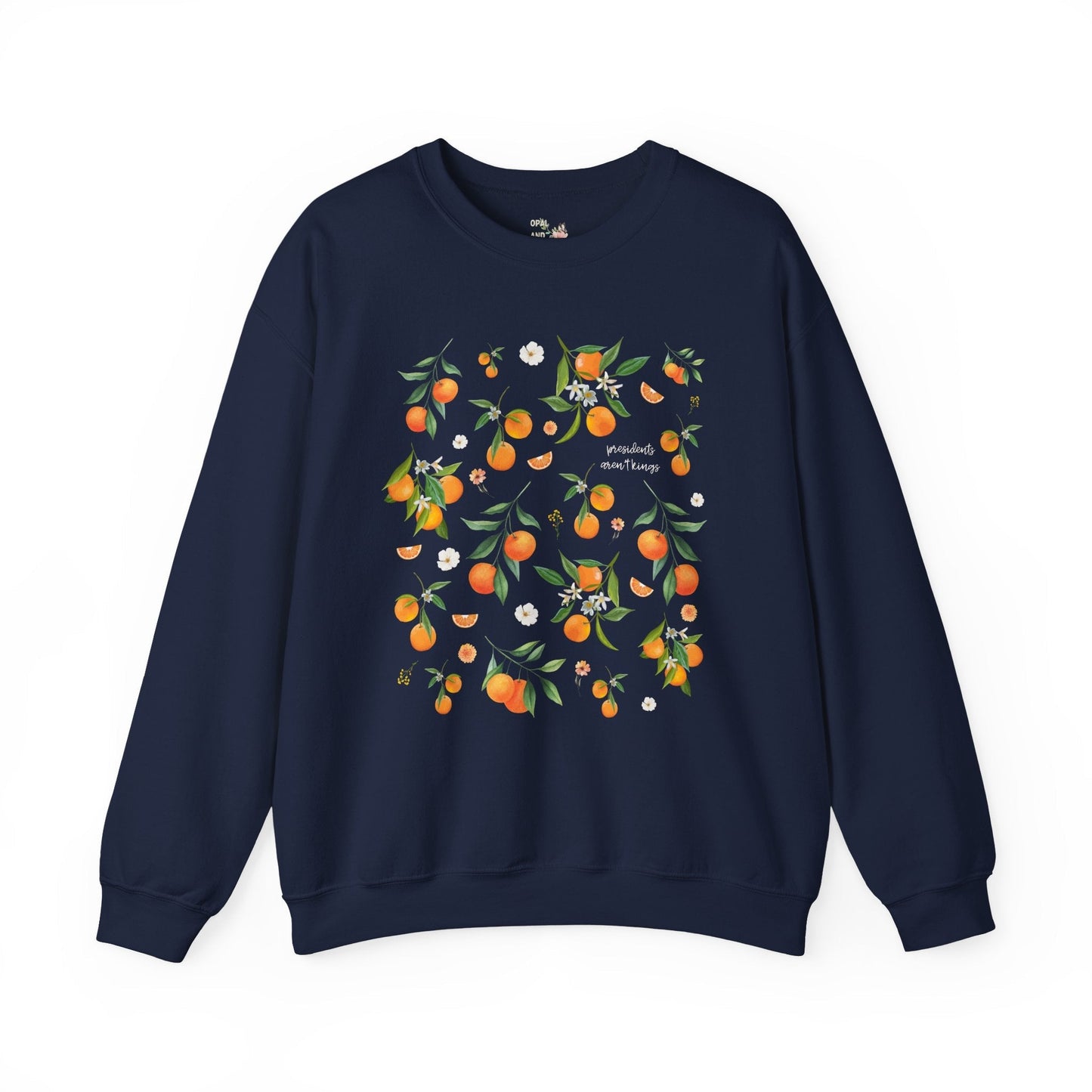 Subtle Democrat Sweatshirt: Presidents Aren't Kings
