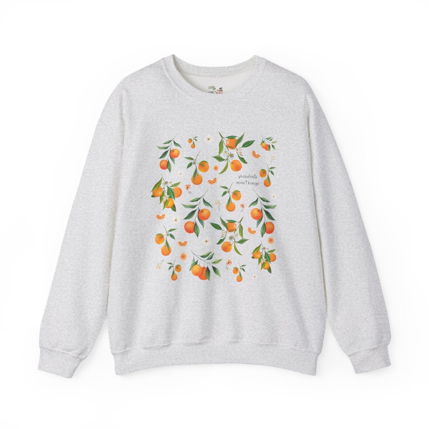 Subtle Democrat Sweatshirt: Presidents Aren't Kings
