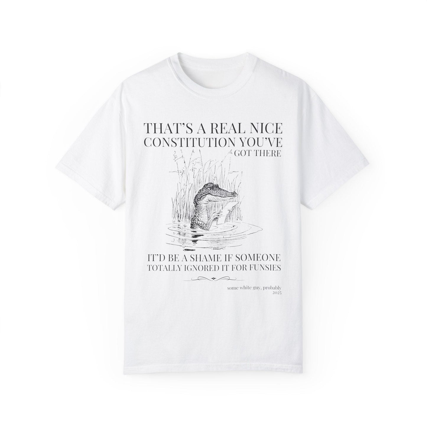 Subtle Democrat Tee Shirt: Constitution