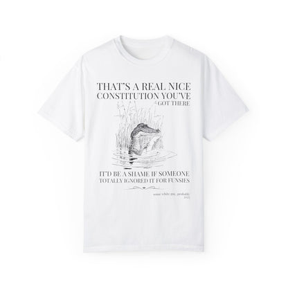 Subtle Democrat Tee Shirt: Constitution