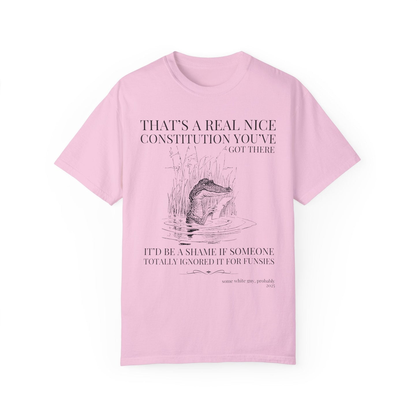 Subtle Democrat Tee Shirt: Constitution