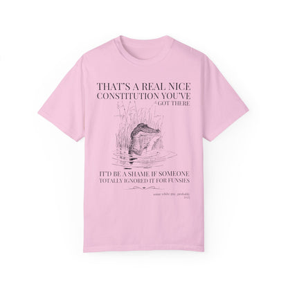 Subtle Democrat Tee Shirt: Constitution