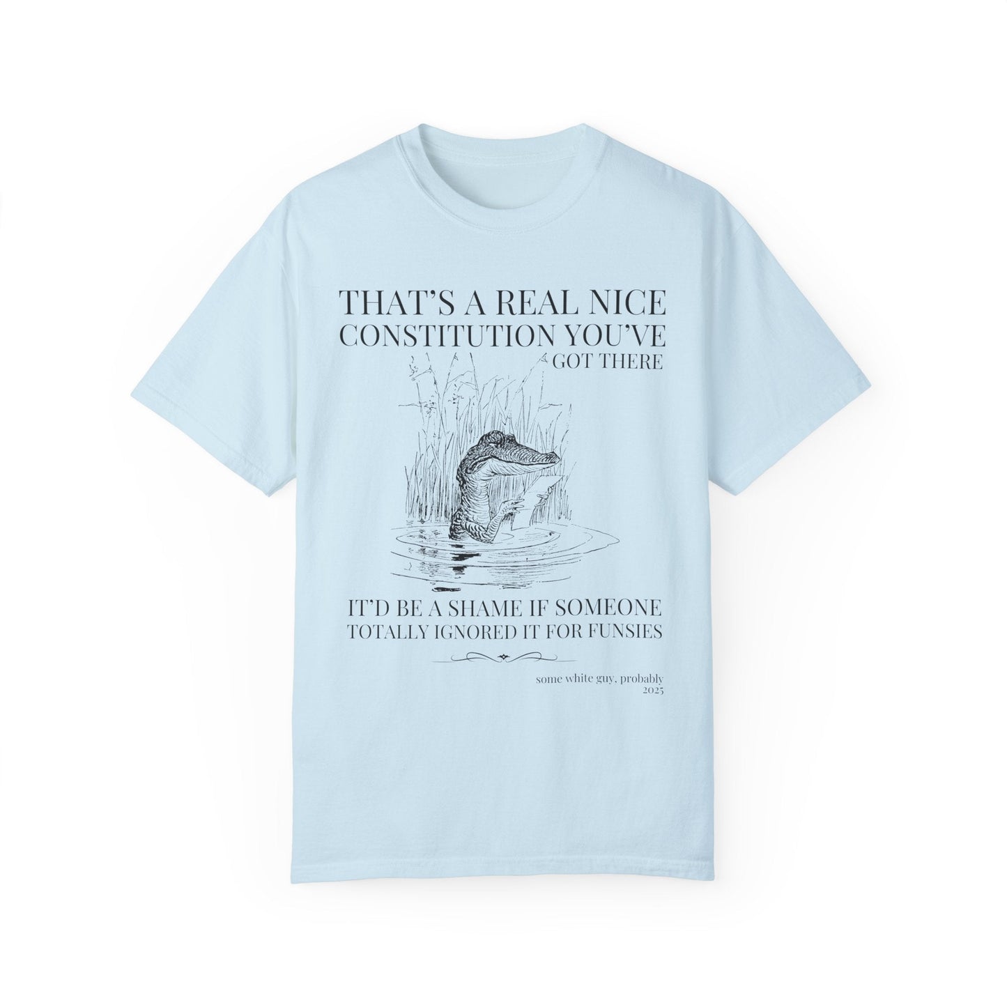 Subtle Democrat Tee Shirt: Constitution