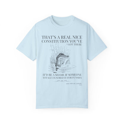 Subtle Democrat Tee Shirt: Constitution