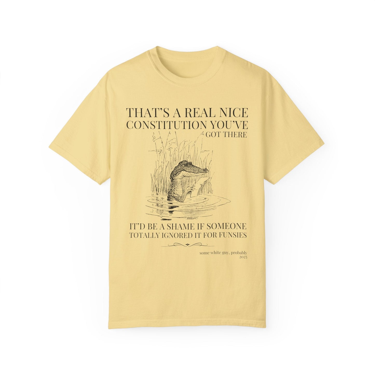 Subtle Democrat Tee Shirt: Constitution