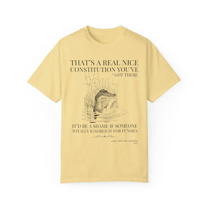 Subtle Democrat Tee Shirt: Constitution