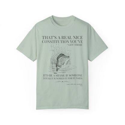 Subtle Democrat Tee Shirt: Constitution