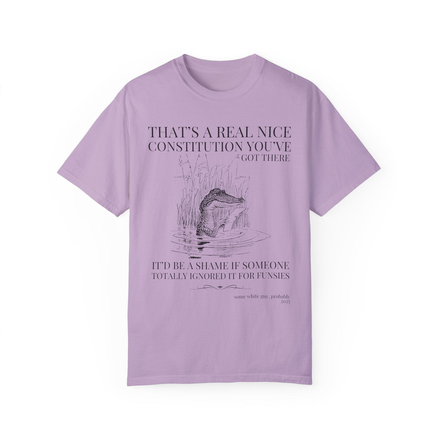Subtle Democrat Tee Shirt: Constitution