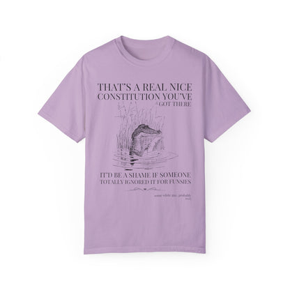 Subtle Democrat Tee Shirt: Constitution
