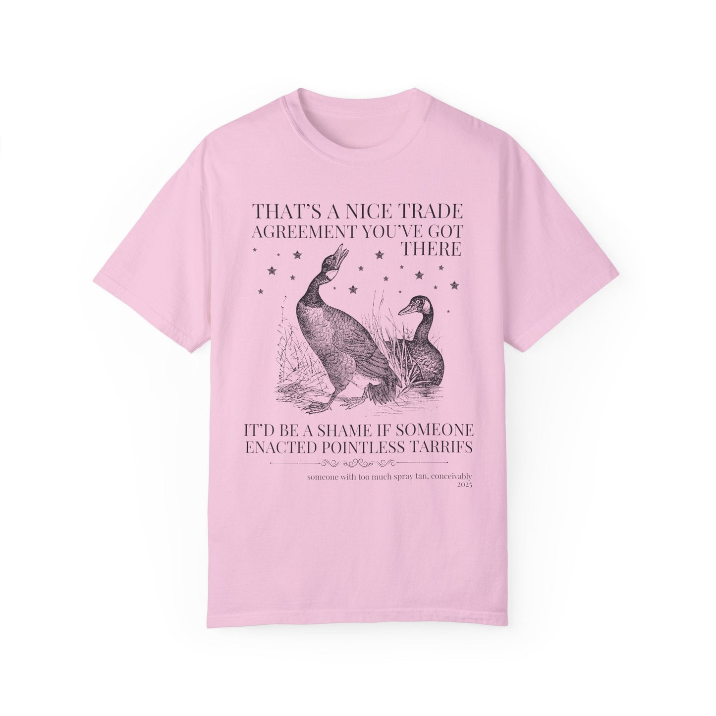 Subtle Democrat Tee with Geese