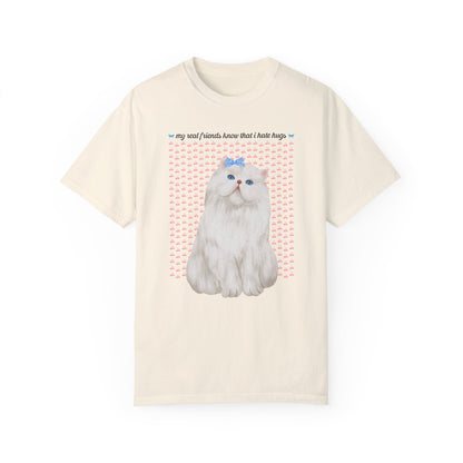 Tee for Friend Who Hates Hugs